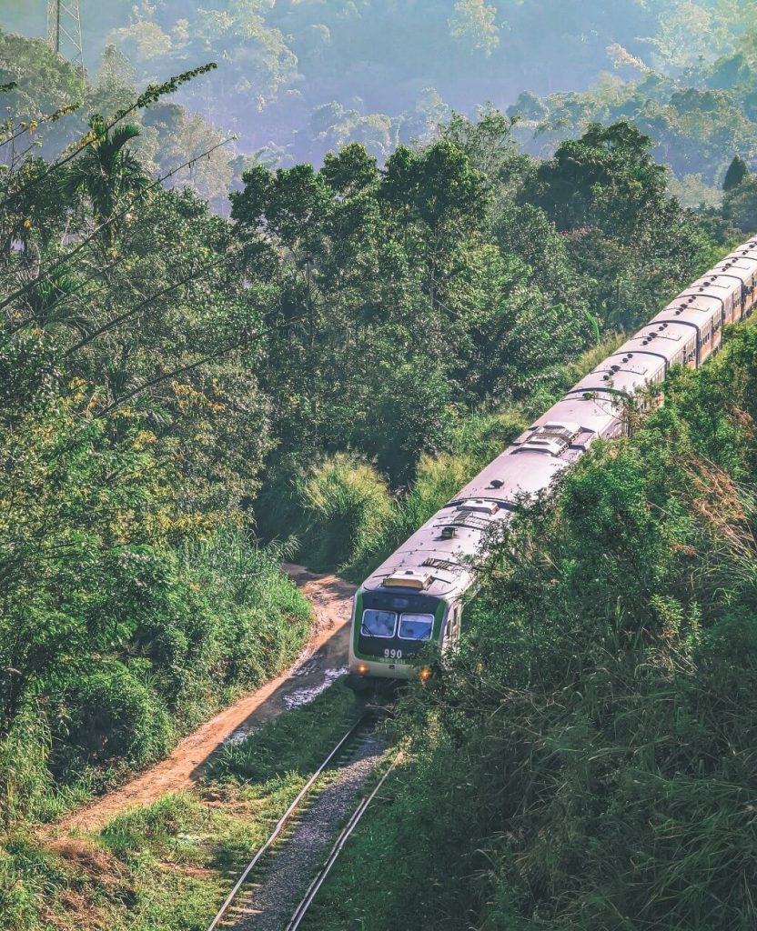 Train passing from the famous Demodara loop
